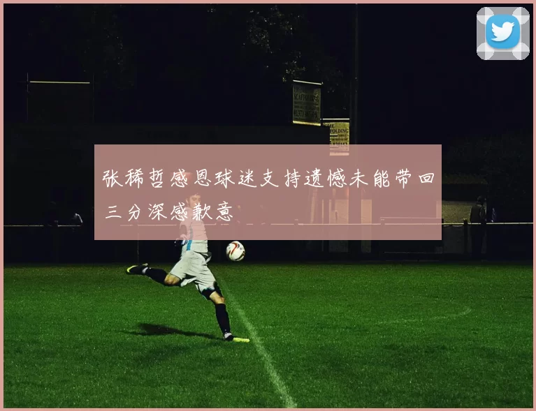 张稀哲感恩球迷支持遗憾未能带回三分深感歉意