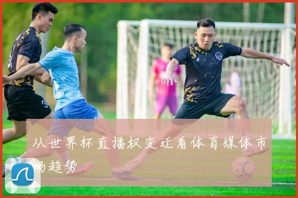 从世界杯直播权变迁看体育媒体市场趋势