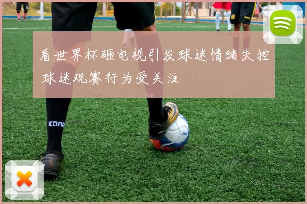看世界杯砸电视引发球迷情绪失控 球迷观赛行为受关注