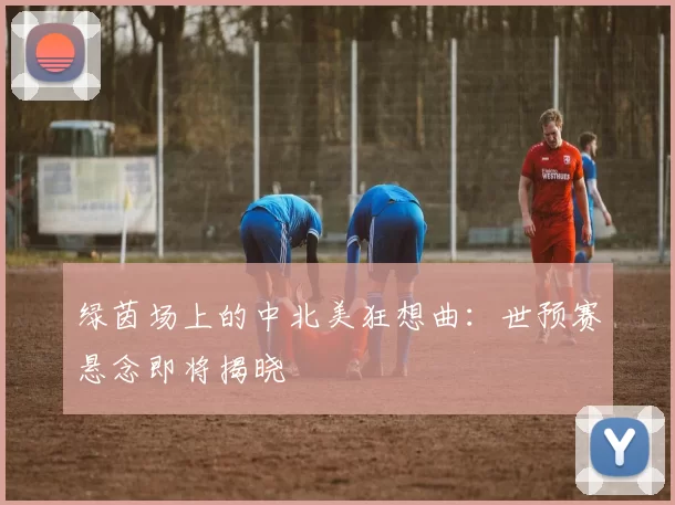 绿茵场上的中北美狂想曲:世预赛悬念即将揭晓