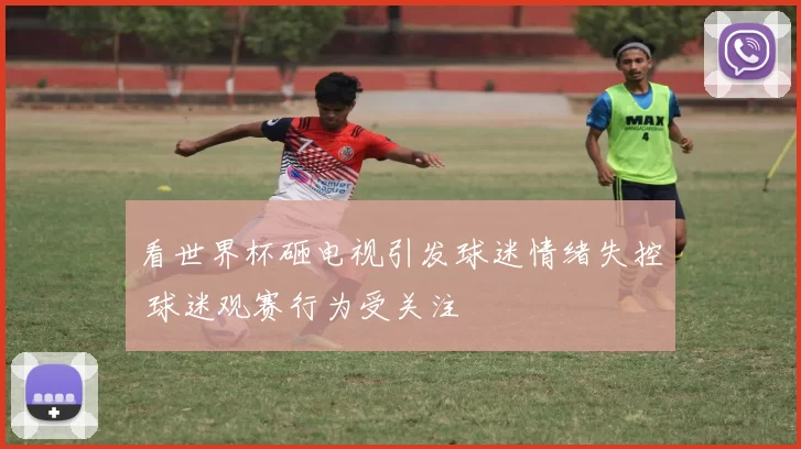 看世界杯砸电视引发球迷情绪失控 球迷观赛行为受关注