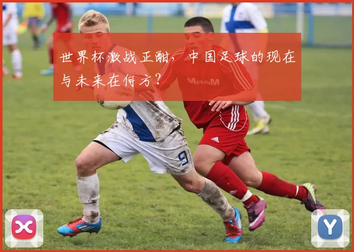 世界杯激战正酣,中国足球的现在与未来在何方?