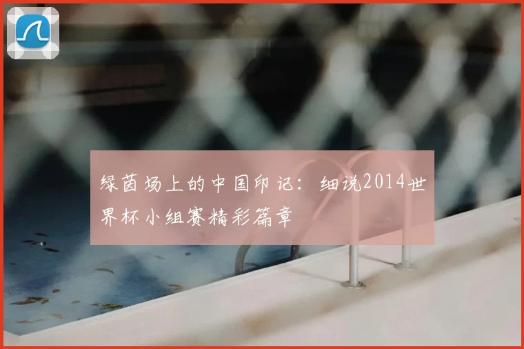 绿茵场上的中国印记:细说2014世界杯小组赛精彩篇章
