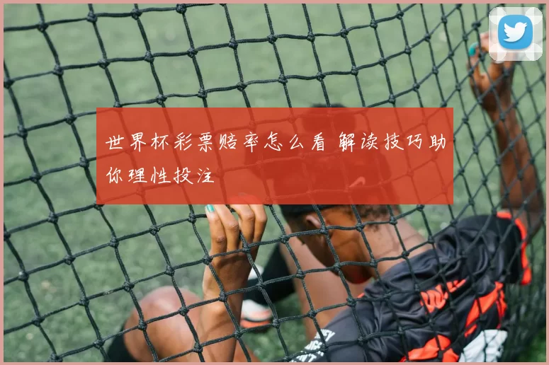 世界杯彩票赔率怎么看 解读技巧助你理性投注