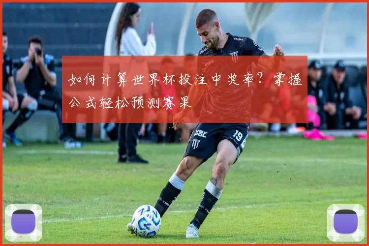 如何计算世界杯投注中奖率?掌握公式轻松预测赛果