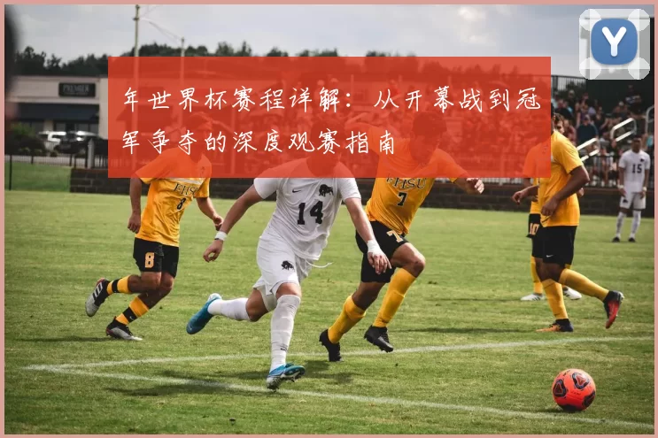 年世界杯赛程详解:从开幕战到冠军争夺的深度观赛指南