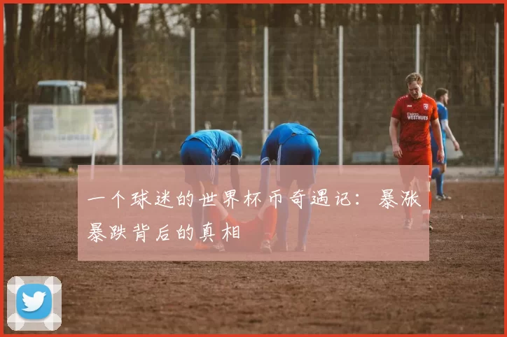 一个球迷的世界杯币奇遇记:暴涨暴跌背后的真相