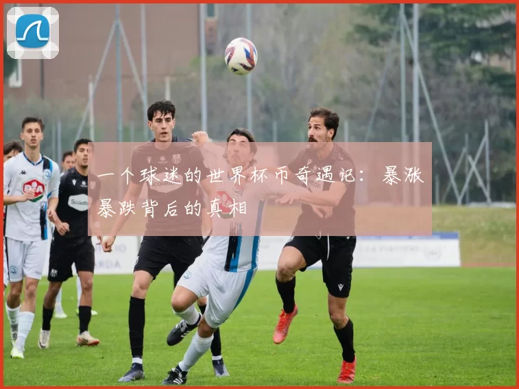 一个球迷的世界杯币奇遇记：暴涨暴跌背后的真相