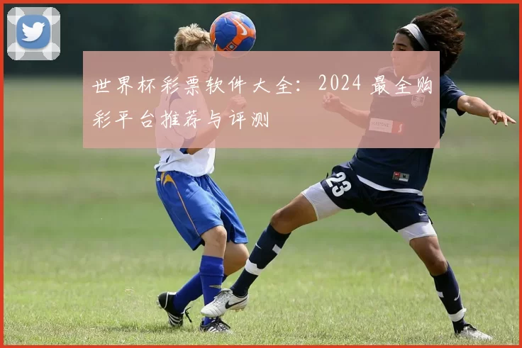 世界杯彩票软件大全：2024 最全购彩平台推荐与评测