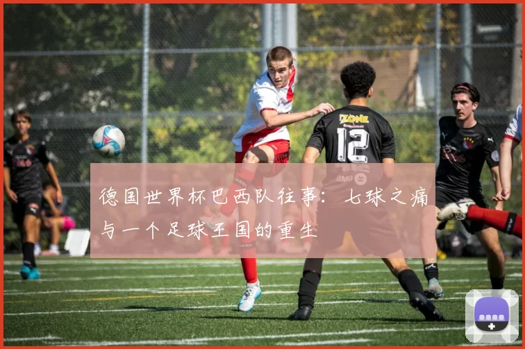 德国世界杯巴西队往事:七球之痛与一个足球王国的重生