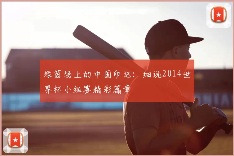 绿茵场上的中国印记:细说2014世界杯小组赛精彩篇章